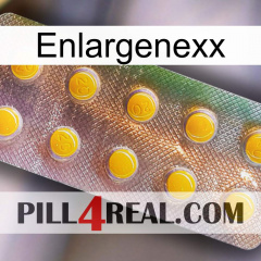 Enlargenexx new11